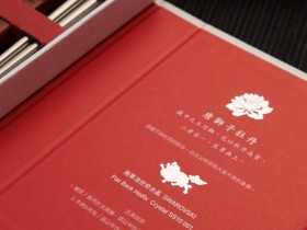 lion-7